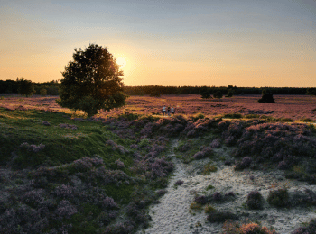Gelderland Gelderland